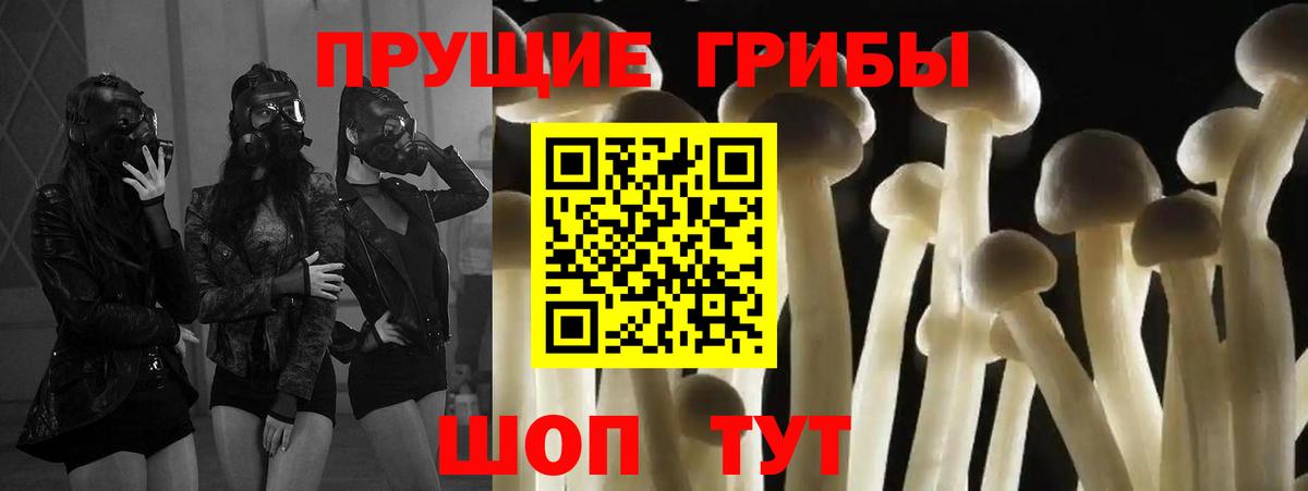 Галлюциногенные грибы прущие грибы  Вход с VPN  Галлюциногенные грибы прущие грибы  Черкесск 